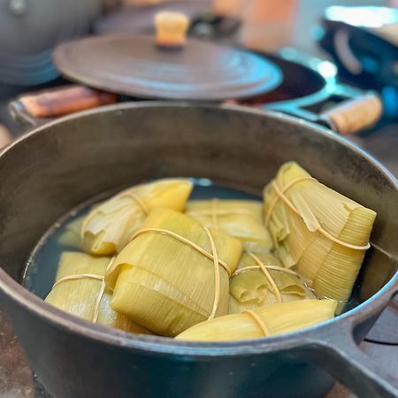 Chales Elliotti Monte Verde  Eksteriør billede